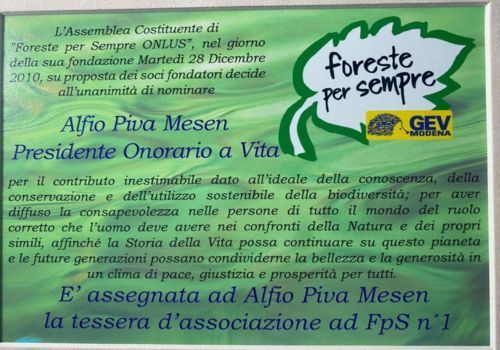 Alfio Piva Foreste per sempre
